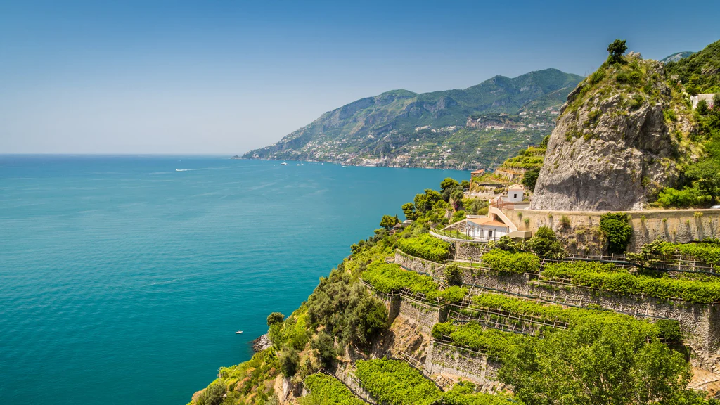 Regiones vitivinícolas